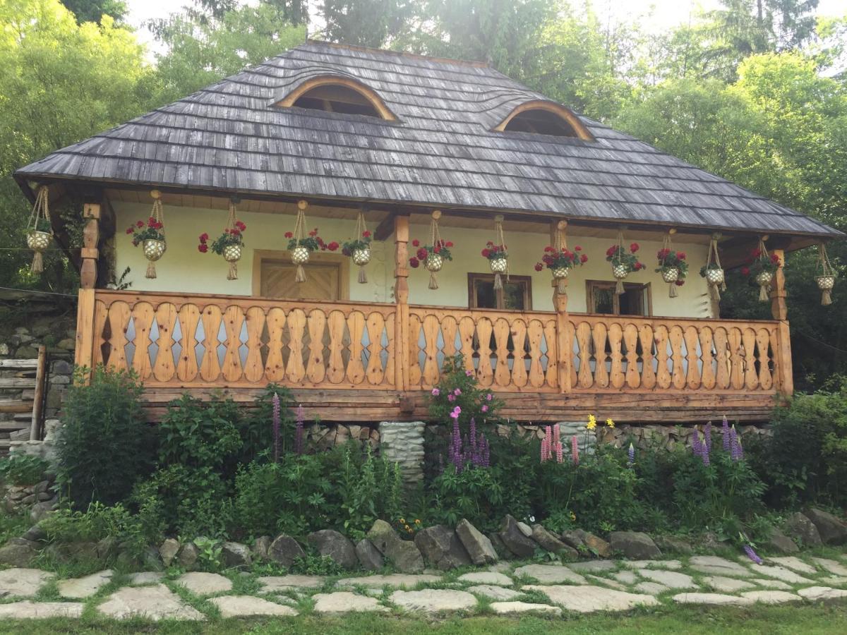 Pensiunea Agroturistica Casa Colinita Vatra Moldoviţei Exteriér fotografie