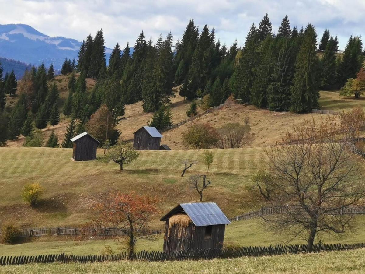 Pensiunea Agroturistica Casa Colinita Vatra Moldoviţei Exteriér fotografie