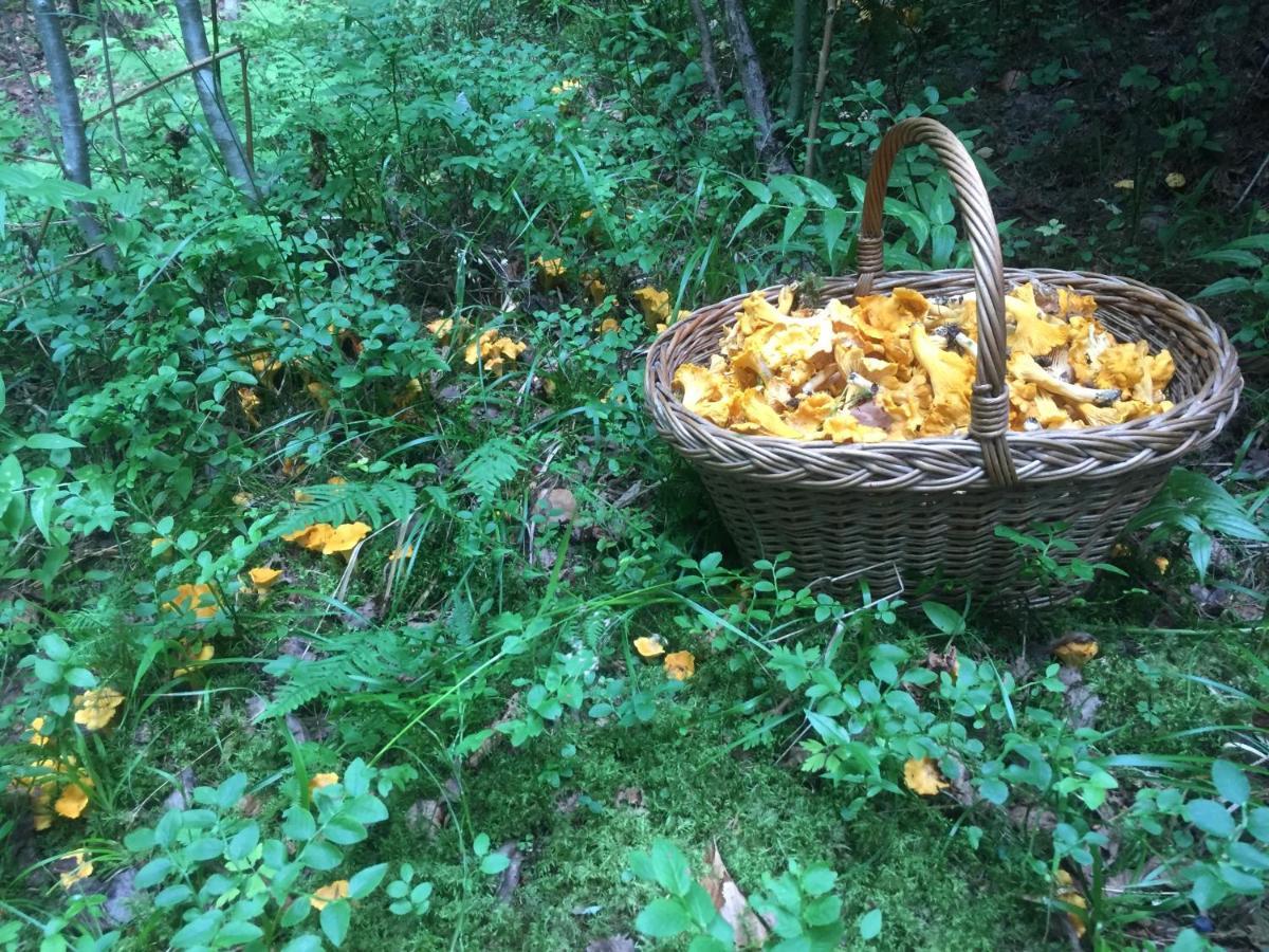 Pensiunea Agroturistica Casa Colinita Vatra Moldoviţei Exteriér fotografie