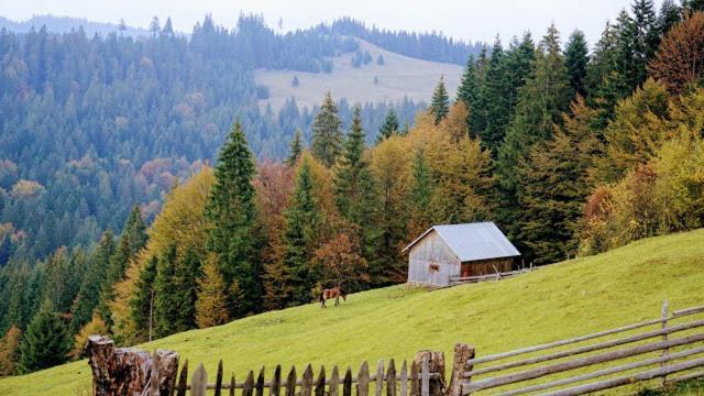 Pensiunea Agroturistica Casa Colinita Vatra Moldoviţei Exteriér fotografie