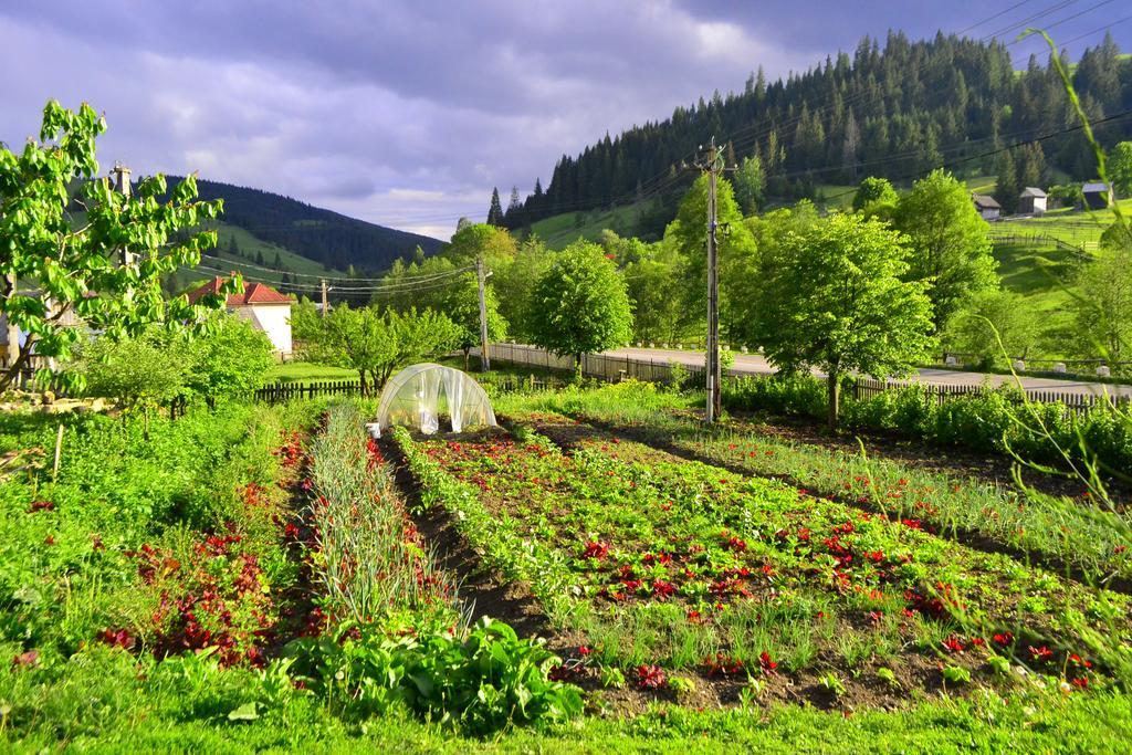 Pensiunea Agroturistica Casa Colinita Vatra Moldoviţei Exteriér fotografie